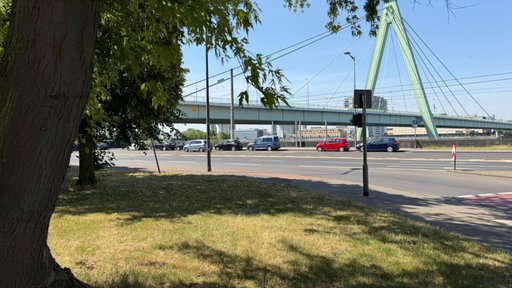 Blick auf die sverinsbrücke von der Hellenwallstrasse aus. Vorne im Bild ist eine kleine Grünfläche zu sehen