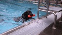 Ein Hund klettert aus dem Schwimmbecken mit einem Spielzeug im Mund