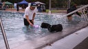 Herrchen mit Hund im Wasser