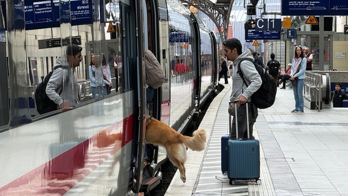 Ein Mann und ein Hund steigen in einen ICE ein