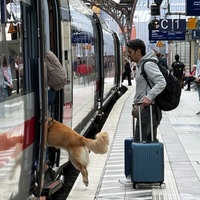 EIn ICE steht am Bahnsteig im Kölner Hauptbahnhof, ein Mann und ein Hund steigen gerade ein.