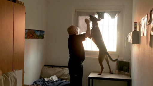 Der belgische Schäferhund Evi kontrolliert, begleitet von Hundeführer Guido Schindler, eine Zelle in der JVA Köln