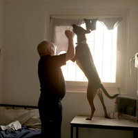 Der belgische Schäferhund Evi kontrolliert, begleitet von Hundeführer Guido Schindler, eine Zelle in der JVA Köln