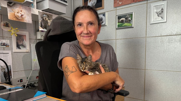 Ein kleines Kätzchen auf dem Arm einer Frau