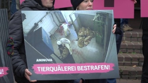 Tierschutz-Demonstrierende