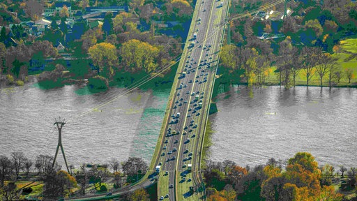 Ein Drohnenbild der Kölner Zoobrücke