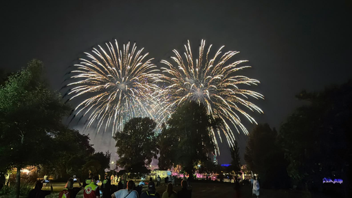 Aus einem dunklen Park mit vielen Bäumen strahlt das helle Feuerwerk im Hintergund hervor. 