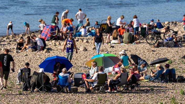 Viele Menschen sitzen mit Picknickdecken und Sonnenschirmen am Rheinufer.