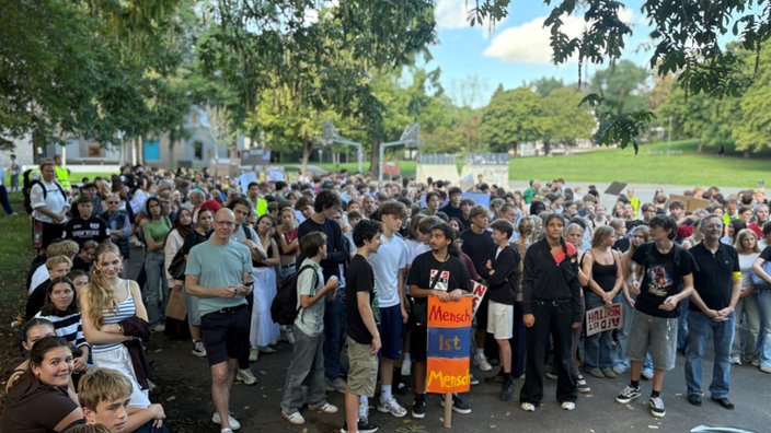 Schüler stehen in Park mit Transparenten in den Händen