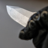 Jemand hält mit einem schwarzem Handschuh ein Messer mit einer silbernen, langen Klinge. 