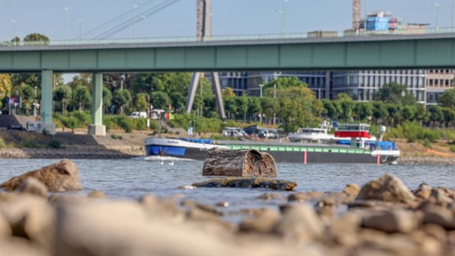 Blick auf den Rhein bei Köln