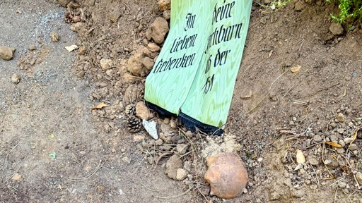 Nahaufnahme eines Schädelfragments neben einer grünen Grabschleife