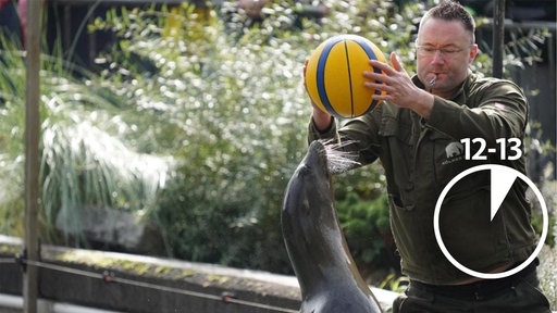 Andreas Hölscher hält einen Ball über einem Seelöwen.