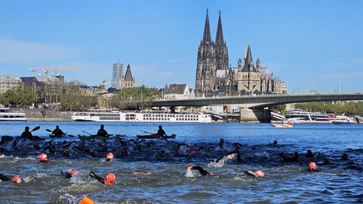 Menschen mit roten Badekappen schwimmen im Rhein