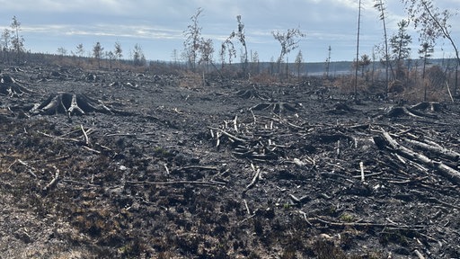 eine von Feuer zerstörte Landschaft