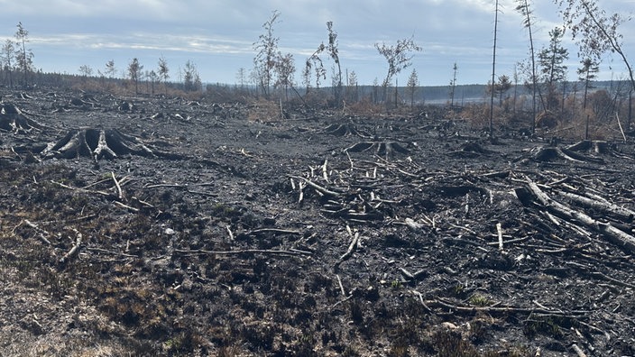 eine von Feuer zerstörte Landschaft