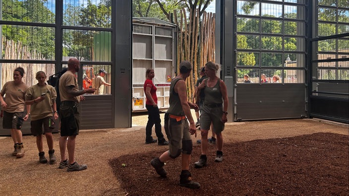 Mitarbeitende des Zoos im Giraffen Gehege