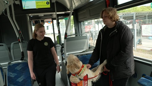 Eine Hundetrainerin trainiert Besitzer mit ihren Assistenzhunden im Bus.