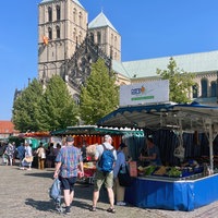 Der Wochenmarkt auf dem Domplatz Münster