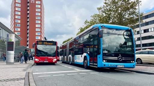 Zwei Busse an den Haltestellen vor dem Hauptbahnhof Münster.