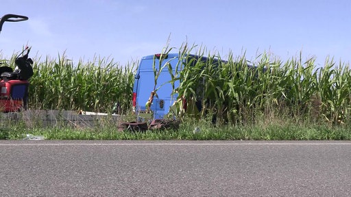 Ein blauer Transporter steht im Maisfeld.