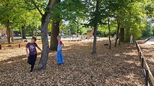 Kinder spielen zwischen Bäumen auf einem Schulhof, der Boden ist mit Holzhackschnitzel bedeckt.