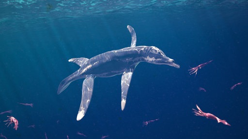 Eine Leinwand imitiert die Glaswand eines Aquariums, hinter der ein großer Meeressaurier schwimmt. Außerdem sind große Tintenfische dargestellt.