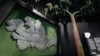 Das Fossil einer Pflanze, welches an einer Wand hängt