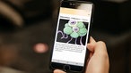Eine interaktive App, die die Besucher durch die Ausstellung leitet