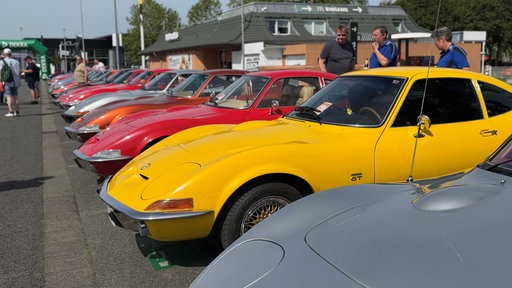 Viele ältere Opel GTs in unterschiedlichen Farben, die in einer Reihe auf einem Parkplatz stehen.