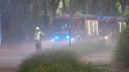 Dichter Rauch im Scheinwerfer von Feuerwehrfahrzeugen in einer Straße