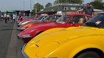 Viele ältere Opel GTs in unterschiedlichen Farben, die in einer Reihe auf einem Parkplatz stehen.