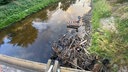 Alte Fahrradleichen liegen verrostet auf einem Haufen in der Bocholter Aa.