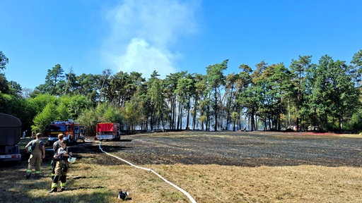Einsatzkräfte der Feuerwehr im Einsatz bei dem Waldbrand