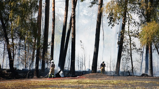 Feuerwehreinsätzkräfte bei den Löscharbeiten im Wald in Borken-Hoxfeld.