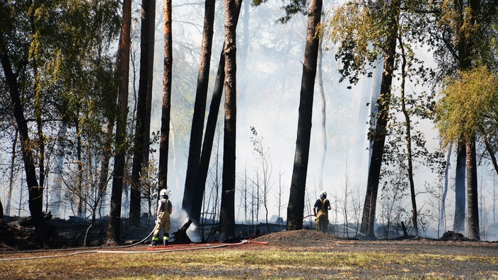 Feuerwehreinsätzkräfte bei den Löscharbeiten im Wald in Borken-Hoxfeld.