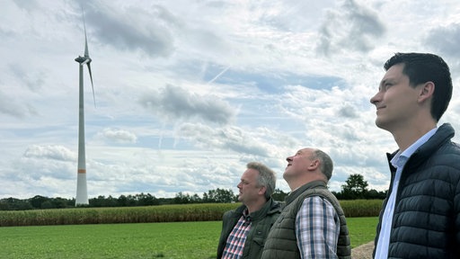 Die Landwirte Bernhard Borgert, Thomas Wesbuer und Lukas Wolters begutachten den Windpark auf den Feldern.