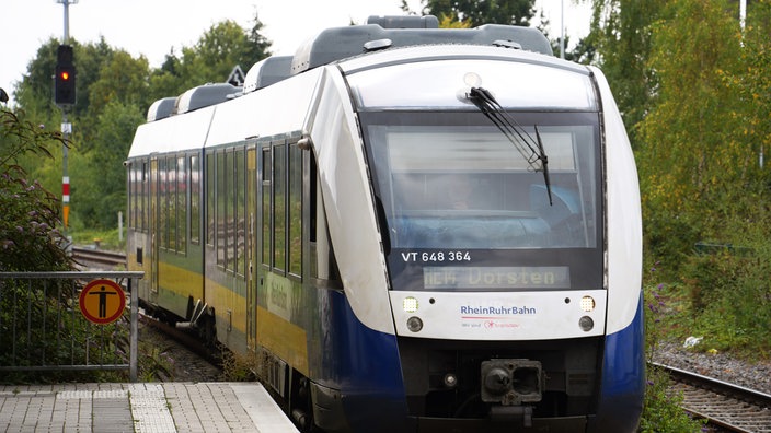 Die RheinRuhrBahn fährt in den Bahnhof ein.