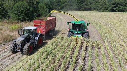 Ein Traktor bei der Maisernte