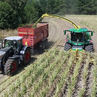 Ein Traktor bei der Maisernte