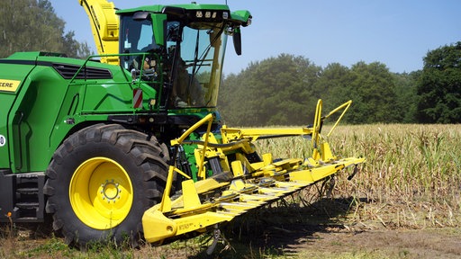 Ein Traktor bei der Maisernte