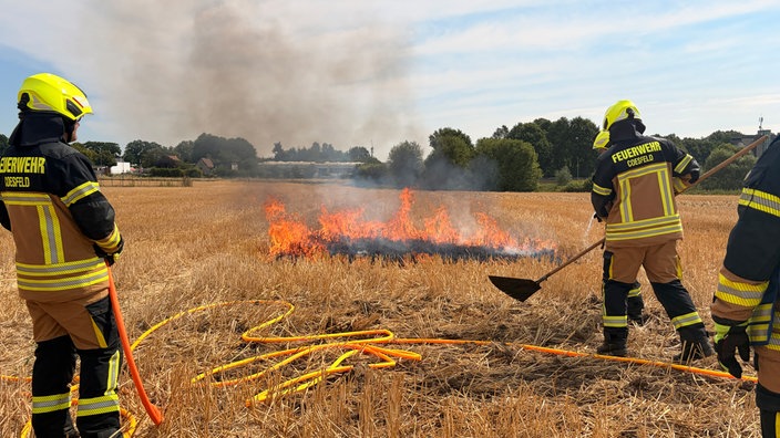Mehrere Feuerwehrleute stehen auf einem Stoppelfeld vor einer kleinen brennenden Fläche.