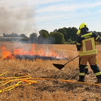 Mehrere Feuerwehrleute stehen auf einem Stoppelfeld vor einer kleinen brennenden Fläche.