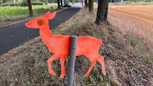 Eine Rehattrape in neonorange steht am Straßenrand.