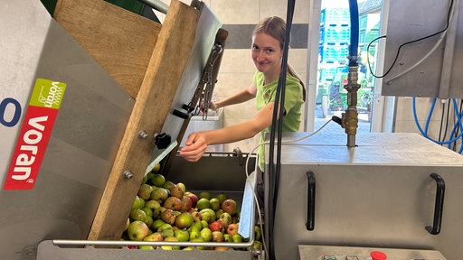 Eine Frau bedient eine Apfel-Maschine.