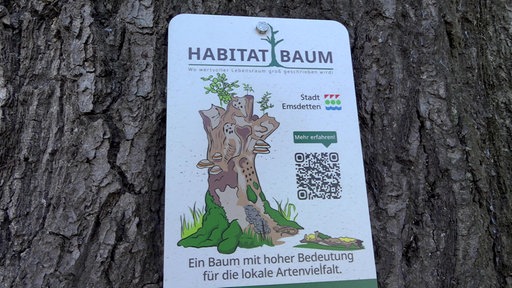 Eine Plakette mit QR-Code für Infos an einem der Habitatbäume. 