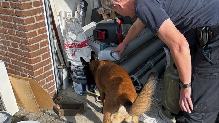 Sprengstoffspürhund der Polizei mit einem Zollbeamten im Einsatz. 