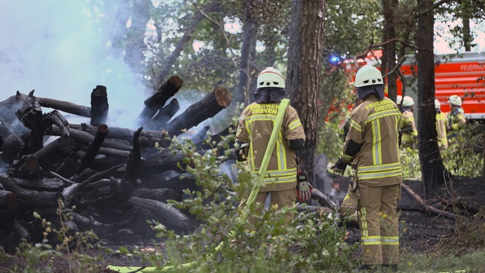 Feuerwehrleute im Einsatz bei einem Waldbrand