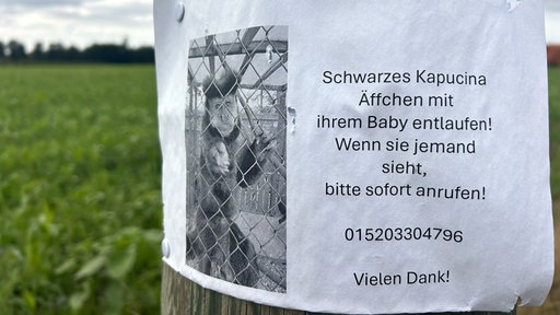 Ein Suchplakat hängt an einem Pfahl neben einem Feld.