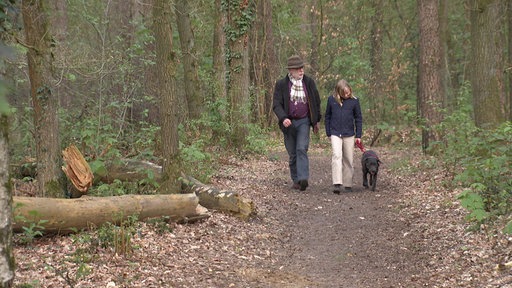 Ein Mann, ein Mädchen und ein Hund laufen durch den Wald